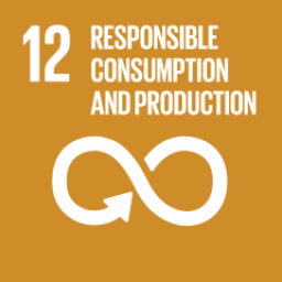 SDG 12 - Responsible Consumption and Production